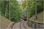 The Blonay Chamby Bernina Bahn Ge 4/4 81 with his train on the way to Chaulin near the Baye de Clarnes Viadukt in the wood by Blonay.