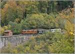 The Blonay Chamby Bernina Bahn Ge 4/4 81 with his train on the way to Blonay by  Vers-chez-Robert .