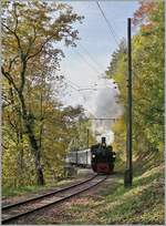 LA DER 2020 by the Blonay-Chamby: The G 2x 2/2 N° 105 with his train in the wood near Blonay on the way to Chaulin.