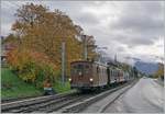 LA DER 2020 by the Blonay-Chamby: The BOB HGe 3/3 29 is arriving with the first train on the last saison weekend at the Blonay Station. 

24.10.2020