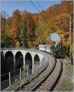 LA DER 2020 by the Blonay-Chamby: The ex LEB G 3/3 N° 5 now by the Blonay-Chamby Railway on the Baye de Clarens Viaduct.