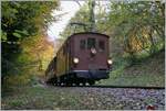 LA DER 2020 by the Blonay-Chamby: The Blonay-Chamby BOB HGe 3/3 29 near Vers chez Robert in the wood over Blonay on the way to Chaulin.

25.10.2020