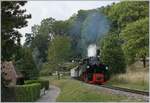 The Blonay-Chamby G 2x 2/2 105 on the way to Chaulin by Blonay. 

20.09.2020