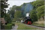 The Blonay-Chamby G 2x 2/2 105 on the way to Chaulin by Blonay. 

20.09.2020