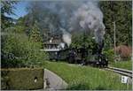 The G 3/3 N° 5 (ex LEB) the G 3/3 ex Brünig/BAM and the GH 3/4 N° 4 ex FO on the way to Chaulin by Blonay. 

16.05.2016