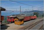 The vieuw from the Chamby Station over the lake of Geneva.