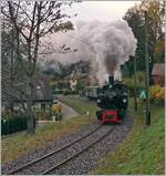 La DER du Blonay-Chamby / the Blonay-Chamby Saison End 2021: The Blonay-Chamby G 2x 2/2 105 on the way to Chaulin by Blonay.