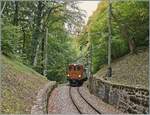 The Blonay-Chamby RhB Bernina Bahn Ge 4/4 81 on the way to Chaulin in the wood by Blonay.