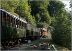 The RhB Ge 4/4 182 and the MOB DZe 6/6 2002 in the Bay de Glen on the way to Chamby.