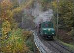 The Blonay-Chamby Railway +GF+ Ge 4/4 75 the Baye de Clarnes Glen on the way to Blonay.