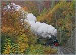 The Blonay-Chamby Railway G 2x 2/2 105 in the Baye de Clarnes Glen on the way to Chaulin.