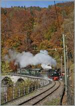 The Blonay Chamby Railway G 2x 2/2 105 comming form Blonay and on the way to Chaulin by Vers chez Robert. 

31.10.2021