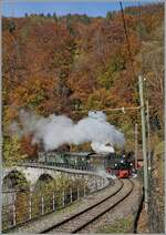 The Blonay Chamby Railway G 2x 2/2 105 comming form Blonay and on the way to Chaulin by Vers chez Robert. 

31.10.2021