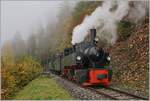 The Blonay-Chamby G 2x 2/2 105 near Vers chez Robert on the way to Chaulin.