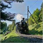 The Blonay-Chamby BFD HG 3/4 N° 3 on the way to Chaulin near Chantemerle.