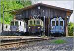 The Blonay Chamby LLB ABFe 2/4 N°10, the MCM BCFeh 4/4 N°6 and the MOB BCFe 4/4 N°11 in Chaulin. 

04.06.2022