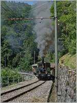 The Blonay-Chamby LEB G 3/3 N°5 on the way from Blonay to Cahulin by Vers-chez-Robert. 05.06.2022