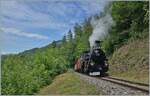 The Blonay Chamby BFD HG 3/4 N° 3 on the way to Chaulin near Chamby.

06.06.2022