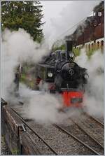 Heavy steam around the SEG G 2x2/2 105 by the Blonay-Chamby Railway in Chaulin.