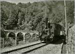 The LEB G 3/3 N° 5 by the Blonay Chamby Railway by Vers Chez Robert on the way to Chamby. 

05.06.2022