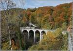 The SEG G 2x 2/2 105 by the Blonay-Chamby Railway on the Baxe de Clarens Viaduct .