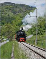 The SEG G 2x 2/2 105 by the Blonay Chamby Railway between Vers Chez Robert and Cornaux. 

22.05.2021