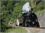 The BFD HG 3/4 N° 3 by Vers Chez Robert on the way to Chamby.