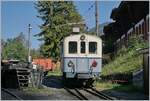  Le Chablais en fête  at the Blonay Chamby railway.