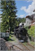 The BFD HG 3/4 N° 3 steamer by the Blonay Chamby Railway in Chaulin Musée Station area.