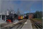 Festival Suisse de la vapeur 2024 / Swiss Steam Festival 2024 of the Blonay-Chamby Bahn - and a picture with a lot of steam fits in quite well: The two Blonbay-Chamby Bahn steam locomotives BFD HG 3/4 N° 3 at the Zugsspitze and the SEG G 2x 2/2 105 at the end of the train leave Blonay station with their special train to Vevey. 

May 19, 2024