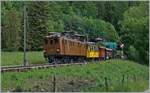 Festival Suisse de la vapeur 2024 / Swiss Steam Festival 2024 of the Blonay-Chamby Bahn - The Bernina Bahn RhB Ge 4/4 81 with his special train service to Vevey by Chaulin. 

May 19, 2024