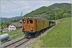 Festival Suisse de la vapeur 2024 / Swiss Steam Festival 2024 of the Blonay-Chamby Bahn. A few trains were also transported with electric traction and the FZe 6/6 2002 and the Ge 4/4 81 were mainly used. The picture shown here shows the Bernina Bahn Ge 4/4 81 de Blonay Chamby Bahn on the journey from Blonay to Chamby just before Cornaux. Worth noting, even if only as a detail, are the new wooden catenary masts on the Cornaux - Tunnle Baye de Clarens section and the new tracks on this section. May 20, 2024