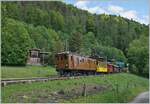 Festival Suisse de la vapeur 2024 / Swiss Steam Festival 2024 of the Blonay-Chamby Bahn - the Bernina Bahn RhB Ge 4/4 81 by the Blonay-Chamby Bahn is by Chaulin on the way to Blonay.