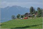 A small train on a big journey: The RhB Bernina Bahn ABe 4/4 I No. 35 of the Blonay-Chamby Railway is on the journey from Montreux to Rougemont shortly before Les Avants, with the Bernina Bahn As2 and the MOB B4 No. 61 (both also Blonay-Chamby) as the  Valrose Nostalgie Express.  June 15, 2025