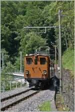  Swiss Steam Festival 2025  - The steam locomotives will be  dismantled  in Chaulin, and, as in recent years, electric locomotives will take over the last trains: At Vers chez Robert, the magnificent RhB Bernina Bahn Ge 4/4 81 of the Blonay Chamby Railway can be seen on the journey to Chaulin.

June 8, 2025