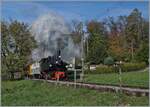 The Blonay-Chamby Railway's End of Season 2024 - For several years now, the Blonay-Chamby Railway has been showcasing its magnificent rolling stock in action with a more frequent timetable at the end of the season. In perfect light and with a beautiful plume of steam, the Blonay-Chamby Railway's SEG G 2x 2/2 105 departs Chaulin with the Riviera Belle Epoque train toward Chamby.

October 27, 2024