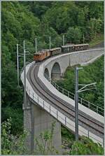 Swiss Steam Festival 2025 - The Rhb Bernina Bahn Ge 4/4 81 by the Blonay Chamby Railway is with his Service by the Clarens Viaduct on the way from Chaulin to Blonay.

June 8, 2025