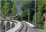 The SEG G 2x 2/2 105 is traveling with its steam train from Blonay to Chaulin on the Baye de Clarens Viaduct and will soon pass by the  Vers-chez-Robert  gatekeeper's house.

May 18, 2025