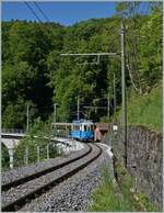 At  Vers-Chez-Robert  the TL Ce 2/3 No. 3 and a trailer car, both owned by the Blonay-Chamby Railway, leave the Baye de Clarens Viaduct.

May 18, 2025