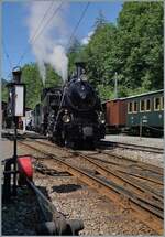 The BFD HG 3/4 No. 3 of the Blonay Chamby Railway has arrived at Chaulin with its steam train and is now steaming towards the locomotive servicing. 

June 7, 2026