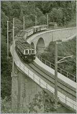 Swiss Steam Festival 2025 - The MOB DZe 6/6 2002 of the Blonay Chamby Railway is traveling with a fairly long train from Chaulin to Blonay and was photographed while crossing the Baye de Clarens Viaduct near Vers Chez Robert.

June 8, 2025