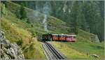 DFB-Steamer from Gletsch to Oberwald near Oberwald.