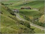 A MGB local train near Hospental.
29.08.2013