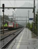 A  Crossrail  Cargo Train is arriving at Kandersteg.