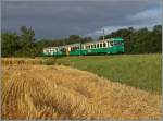 A BAM local train near Vufflens le Château.
03.07.2014