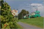 BAM local train by the Vufflens Castle.