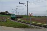 A AM Cargo train between Apples and Yens.