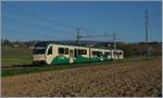 A new BAM MBC SURF Train by Chingy (Be 4/4 - B - Be 4/4, made by Stadler).
10.04.2017