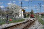 Spring time by the BAM Station Pampigny-Sévery.