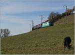 The BAM Ge 4/4 21 with a Cargo Train by Chardonney-Château.